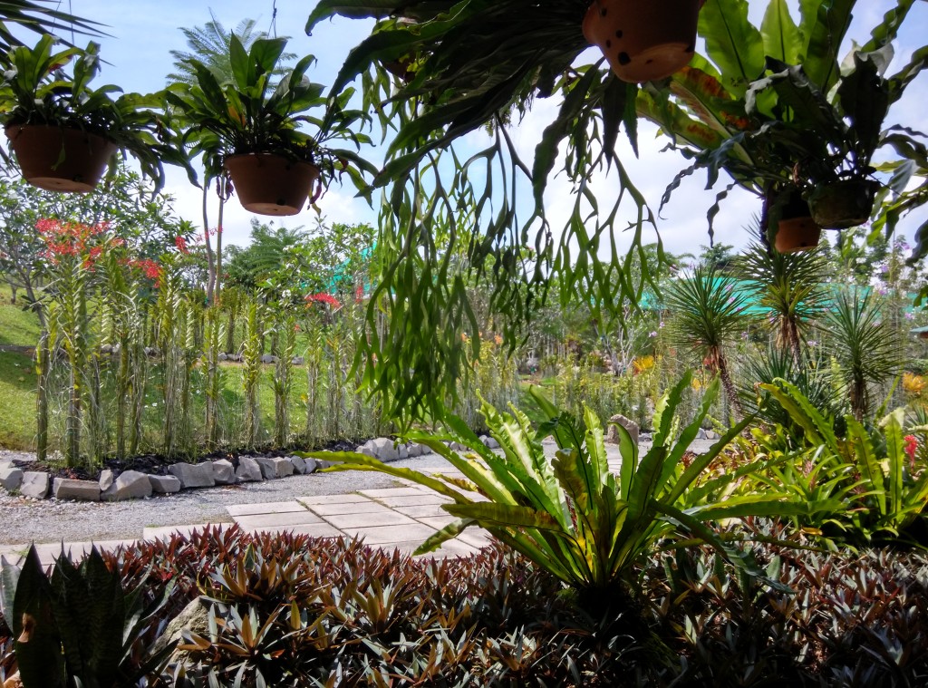 Taman Orkid, Kuching